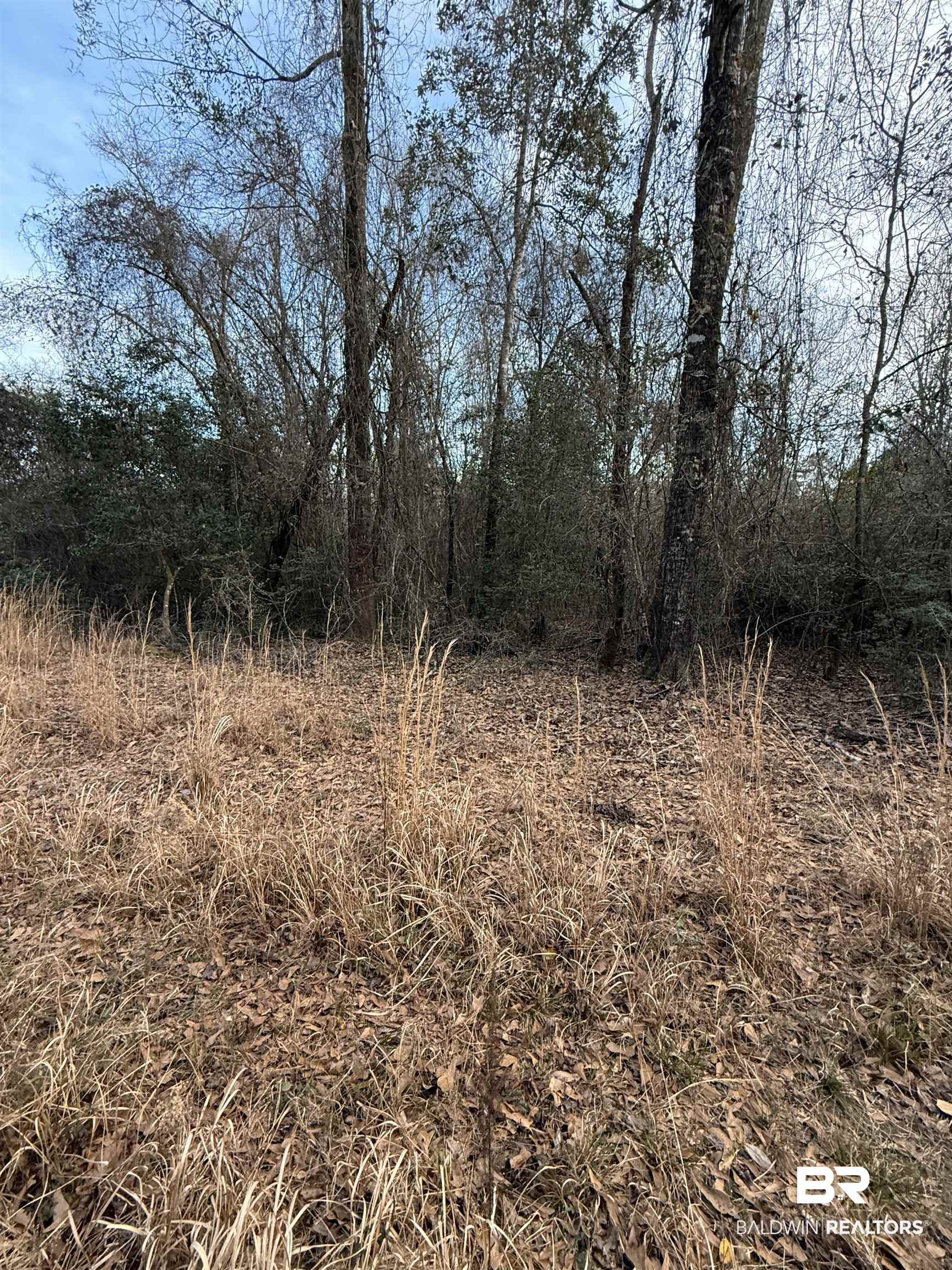0 Harmon Williams Road Mobile, AL 36608 - Photo 2 of 12