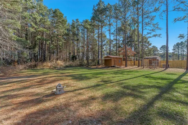 a view of a park with large trees