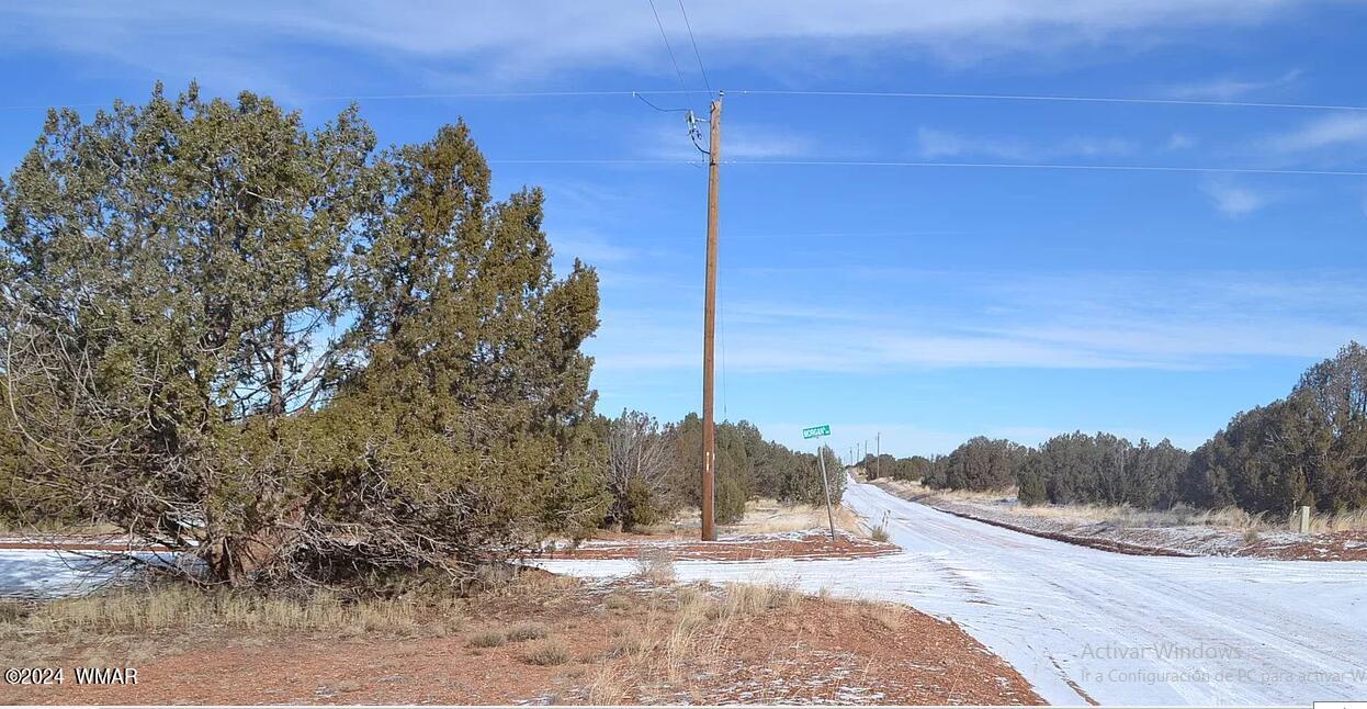 4458 Mountain View Road Snowflake, AZ 85937 - Photo 12 of 15 a view of a road from a yard
