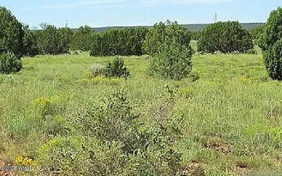 4458 Mountain View Road Snowflake, AZ 85937 - Photo 10 of 15 a view of a garden