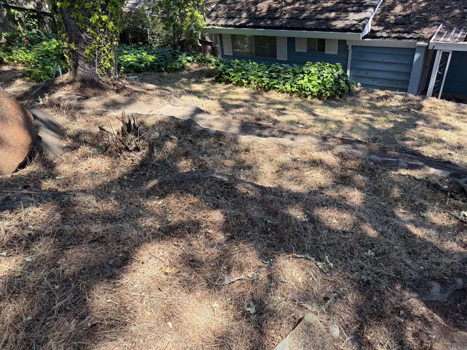 231 Boarman Street Jackson, CA 95642 - Photo 57 of 65 Yard to house