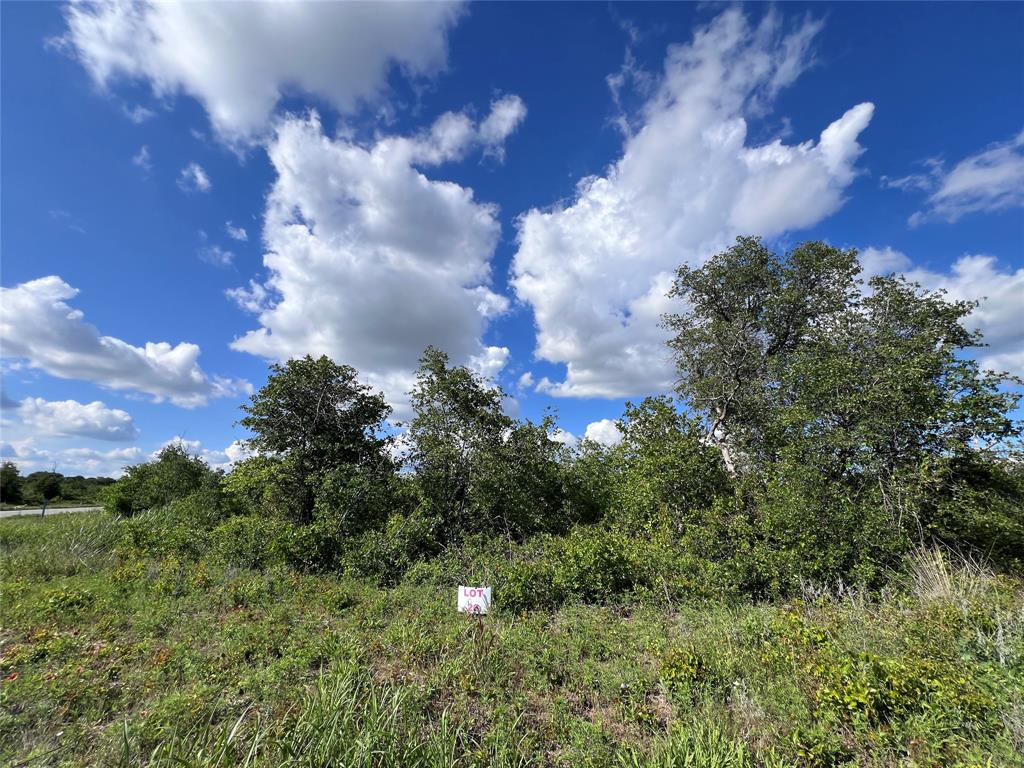 Tbd Lot 26 Tbd Trail Clyde, TX 79510 - Photo 2 of 17 a view of a city with lush green forest