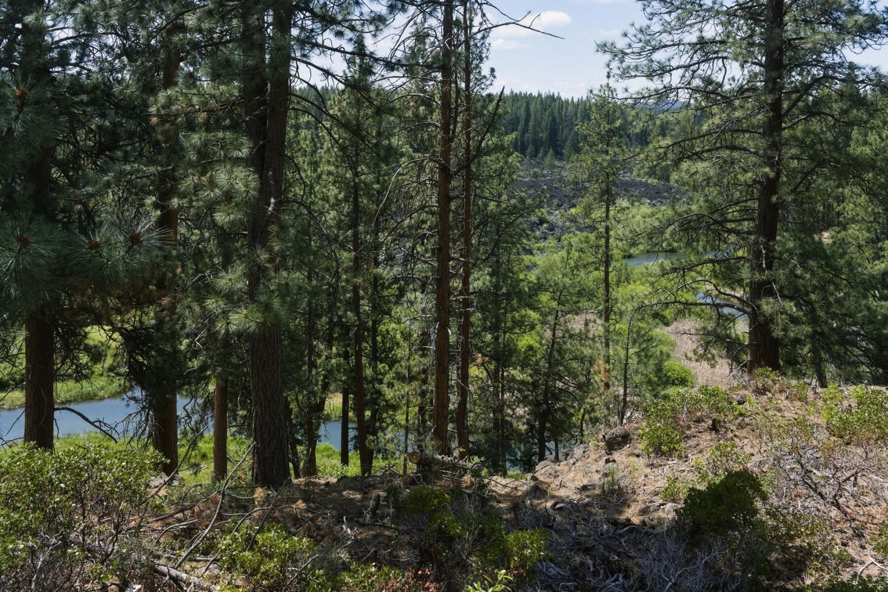 60420 Snap Shot Loop Bend, OR 97702 - Photo 46 of 51 Views, nature & wildlife outside your door