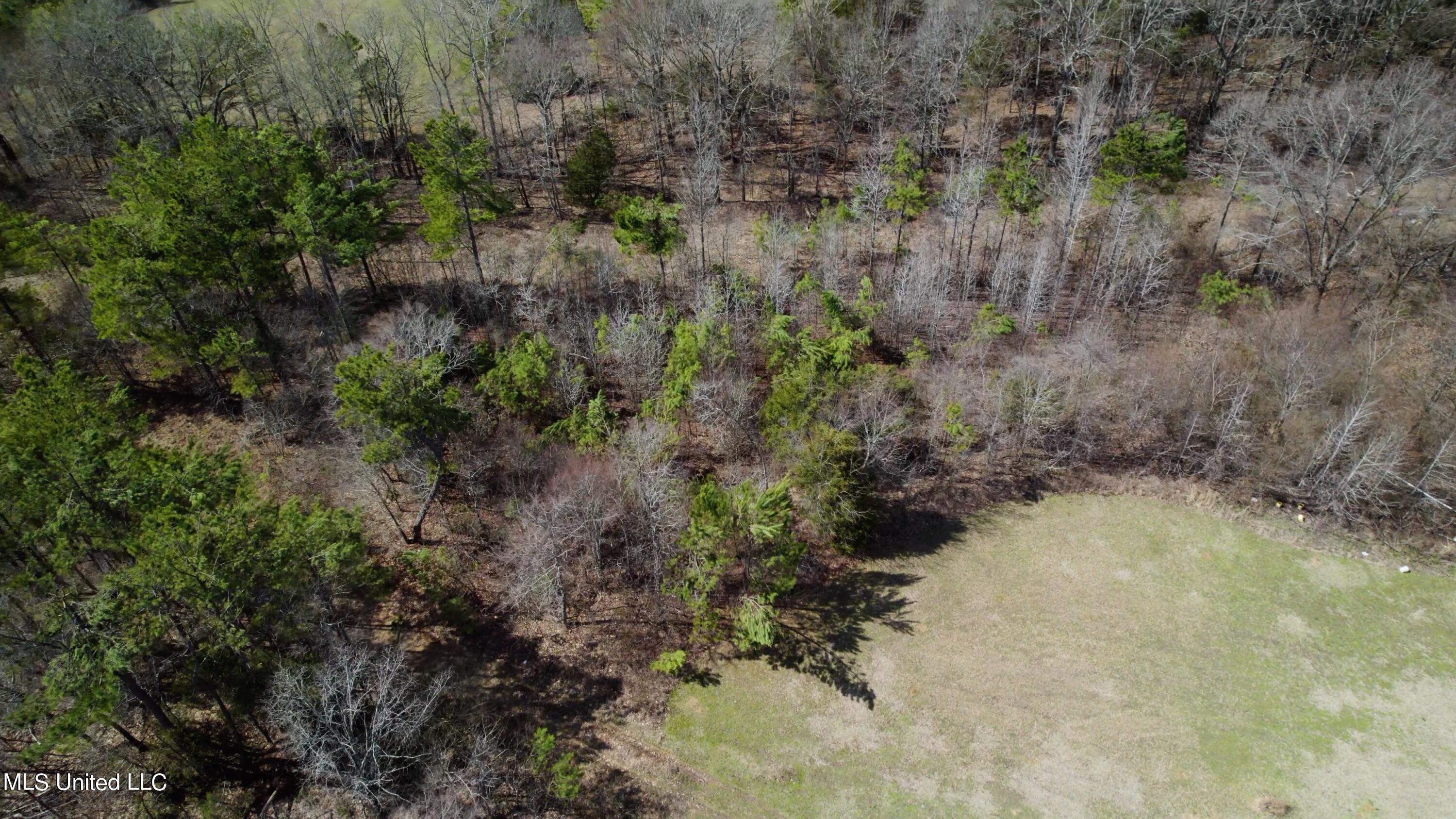 1000 Burton Road Senatobia, MS 38668 - Photo 1 of 20 land