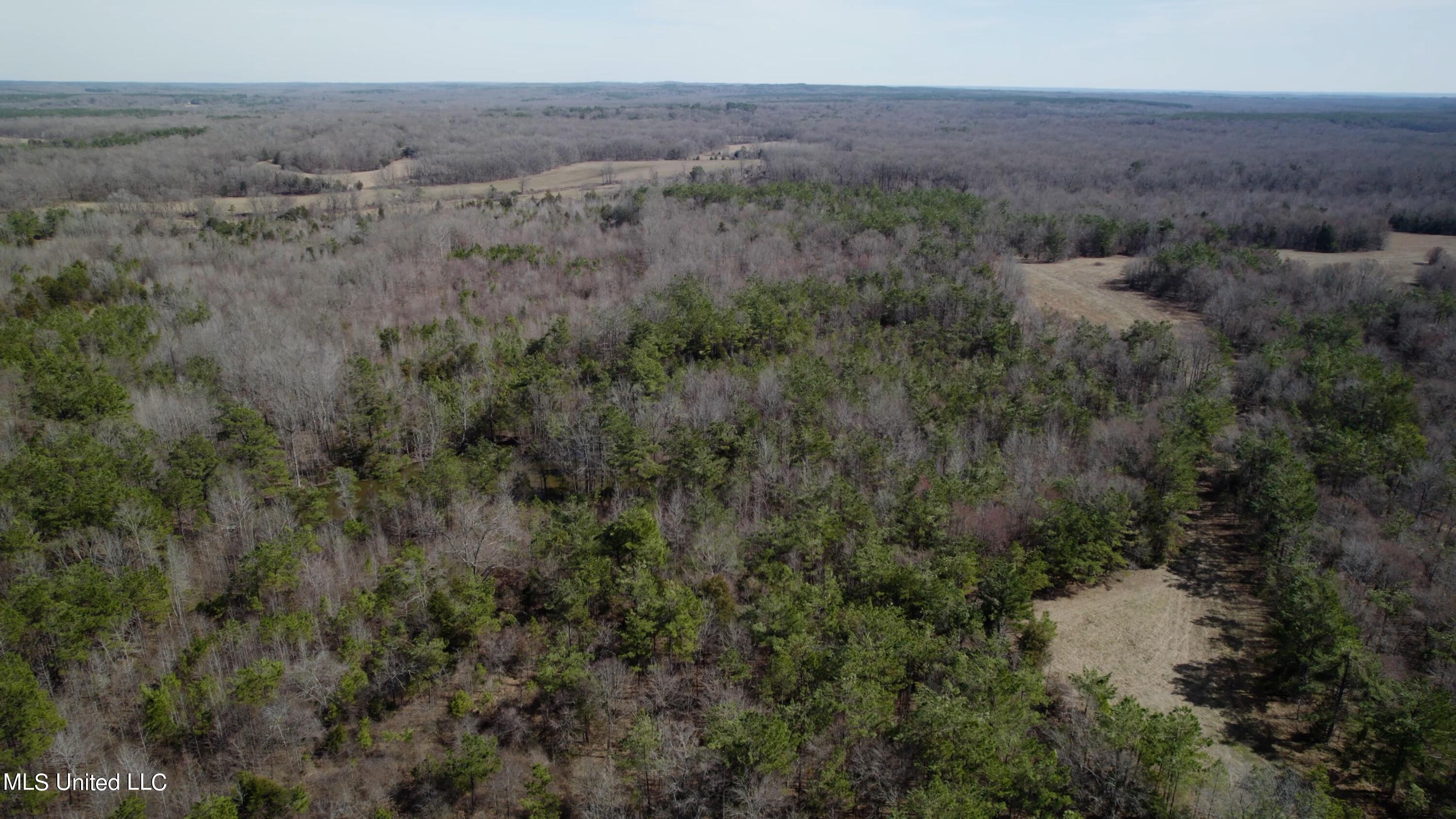 1000 Burton Road Senatobia, MS 38668 - Photo 12 of 20 Aerial View X