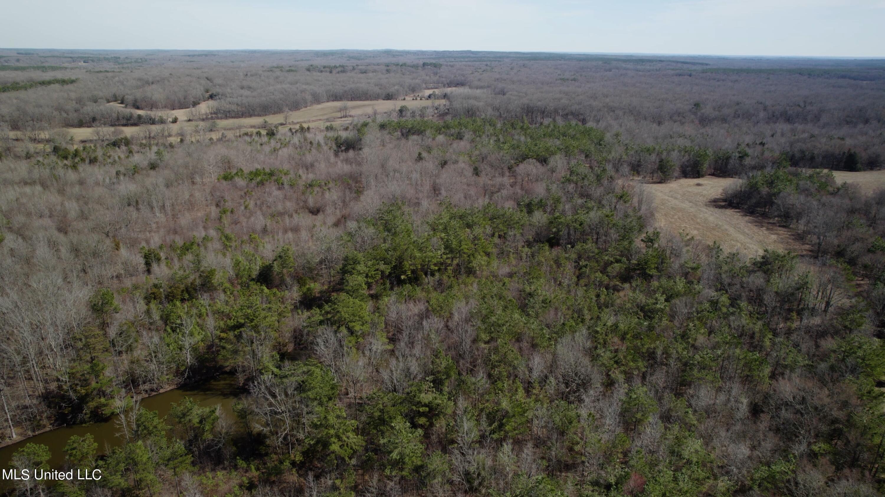 1000 Burton Road Senatobia, MS 38668 - Photo 13 of 20 Aerial View XI