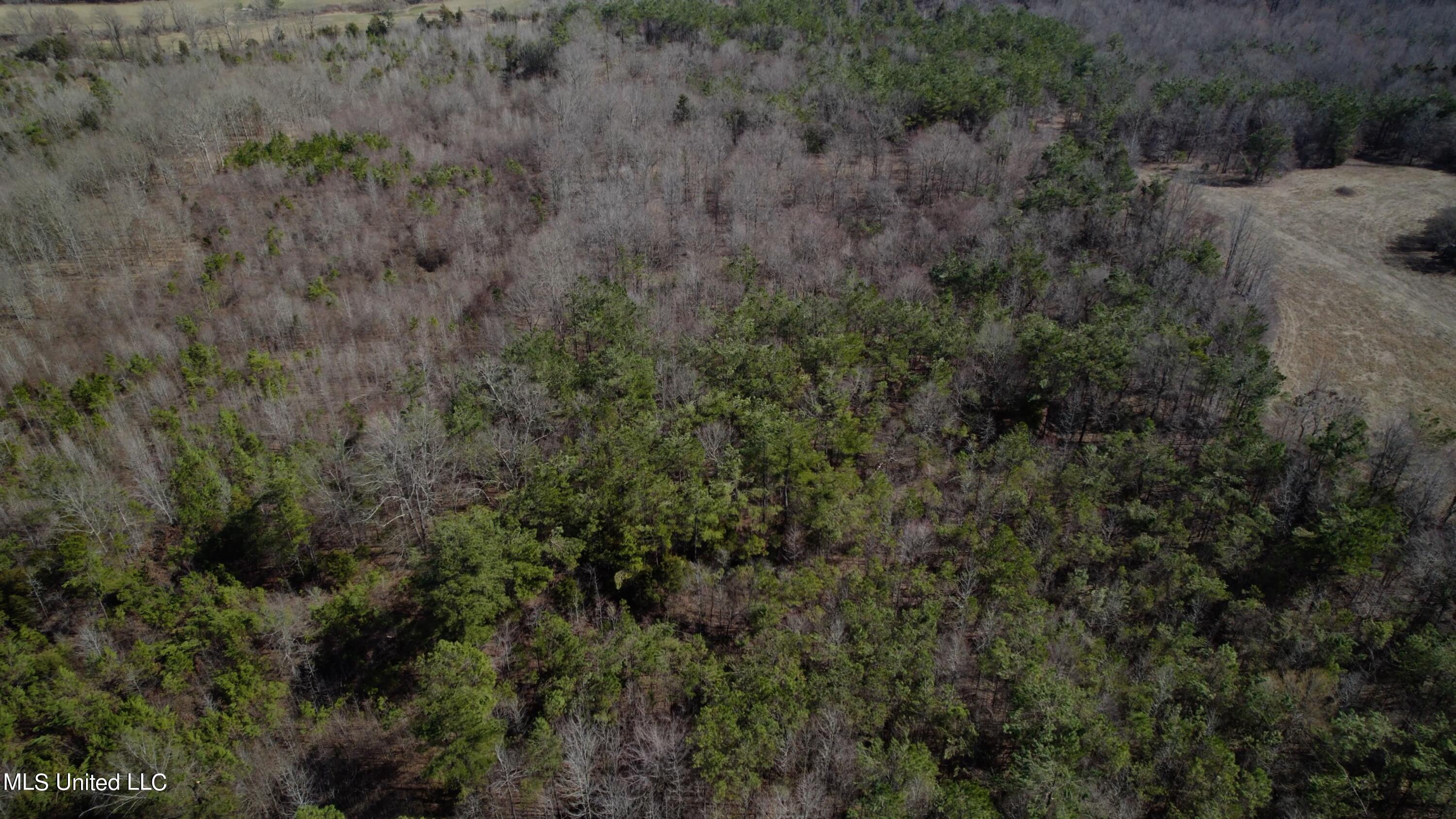 1000 Burton Road Senatobia, MS 38668 - Photo 14 of 20 Aerial View XII