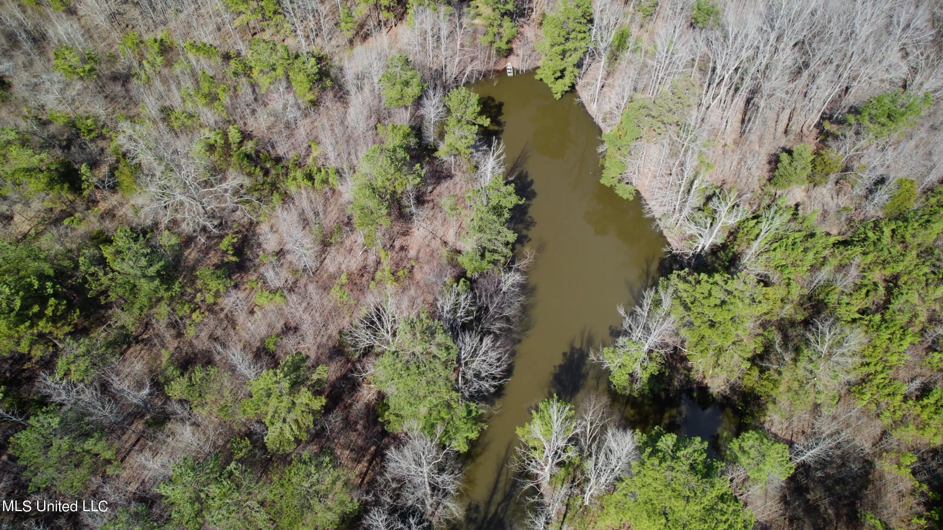 1000 Burton Road Senatobia, MS 38668 - Photo 15 of 20 Pond Aerial View I