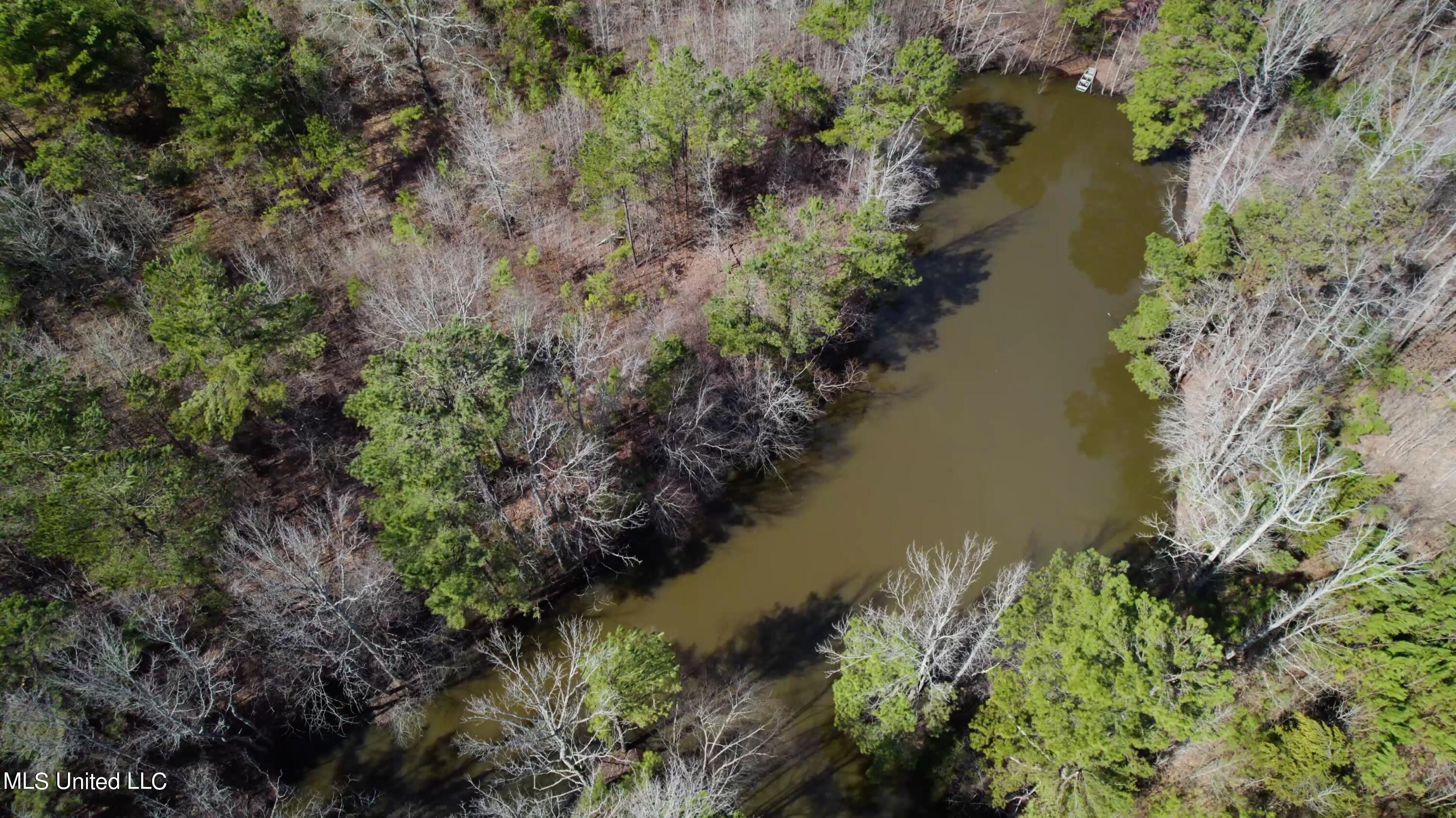 1000 Burton Road Senatobia, MS 38668 - Photo 16 of 20 Pond Aerial View II