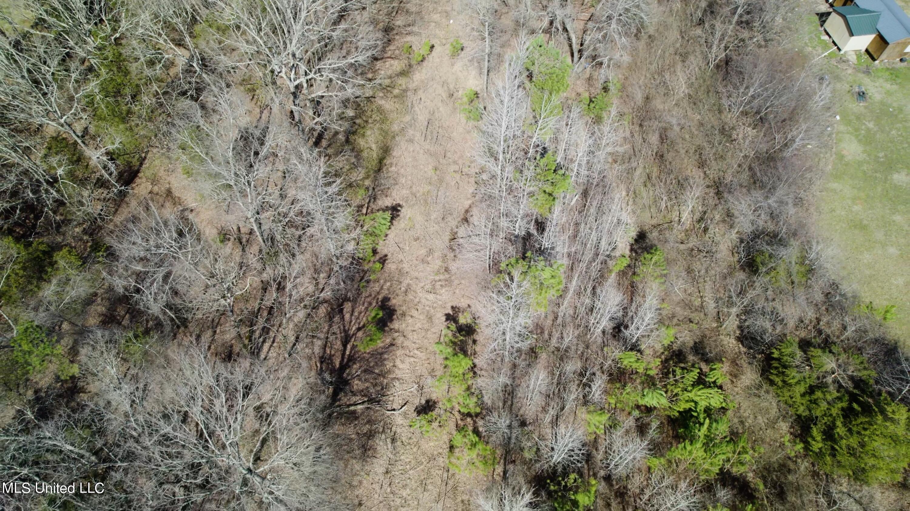 1000 Burton Road Senatobia, MS 38668 - Photo 17 of 20 Utility ROW Aerial View II