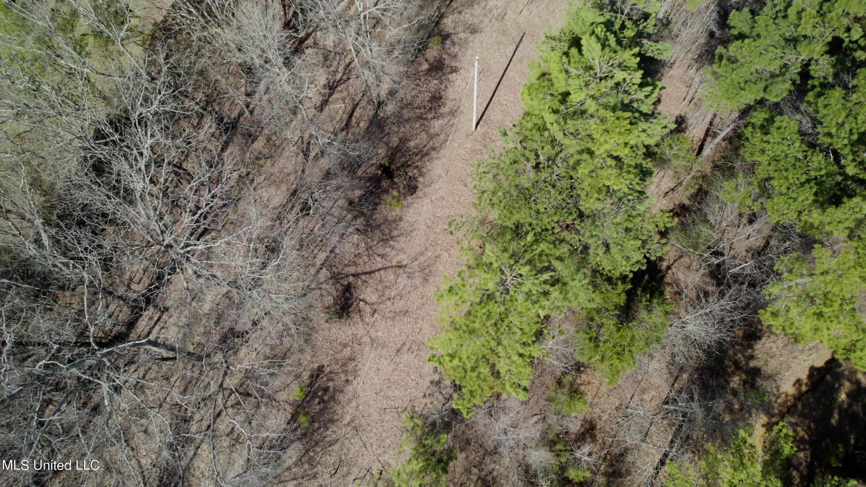 1000 Burton Road Senatobia, MS 38668 - Photo 18 of 20 Utility ROW Aerial View III