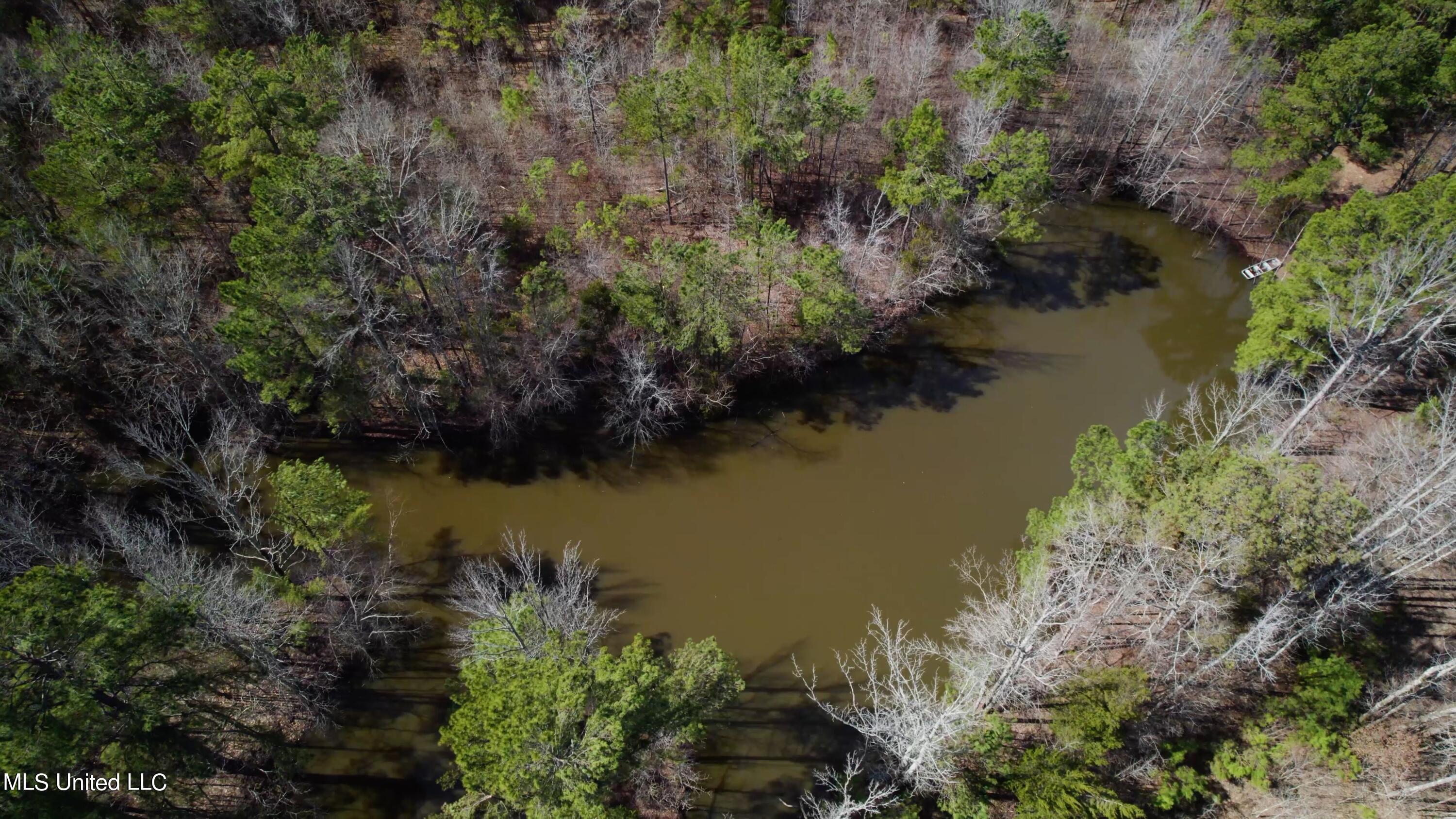 1000 Burton Road Senatobia, MS 38668 - Photo 2 of 20 Pond Aerial View III