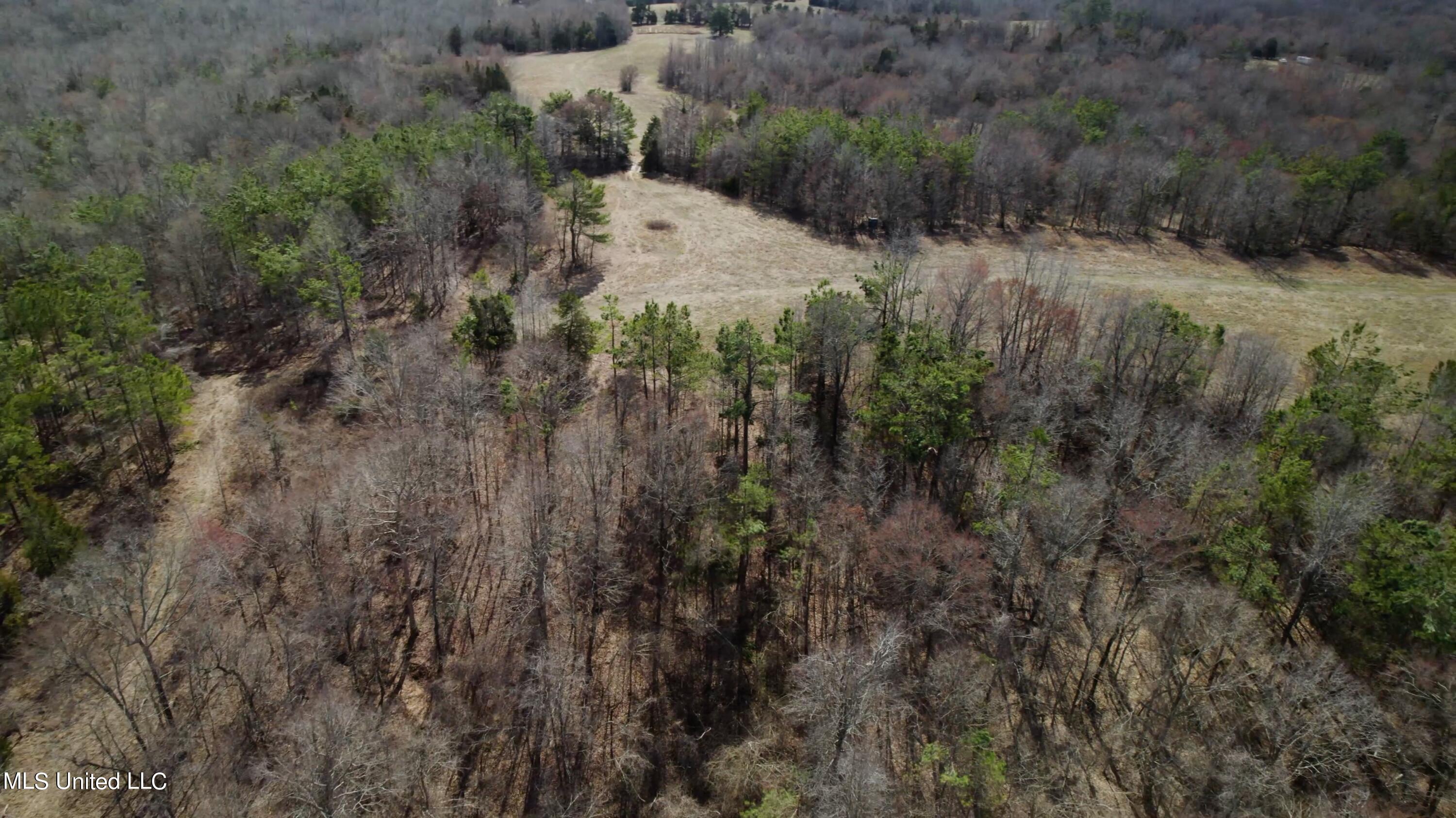 1000 Burton Road Senatobia, MS 38668 - Photo 5 of 20 Aerial View III