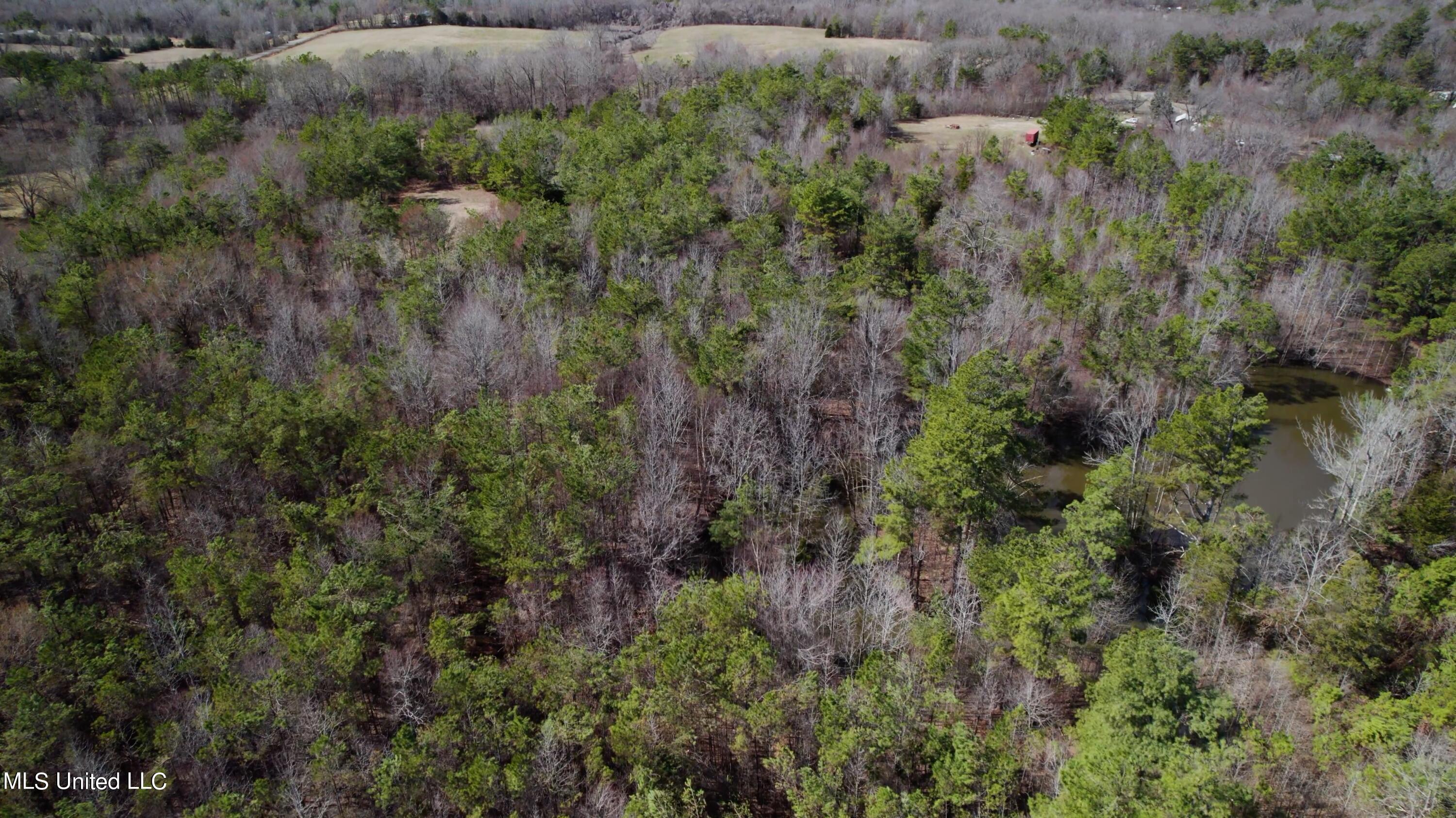 1000 Burton Road Senatobia, MS 38668 - Photo 6 of 20 Aerial View IV