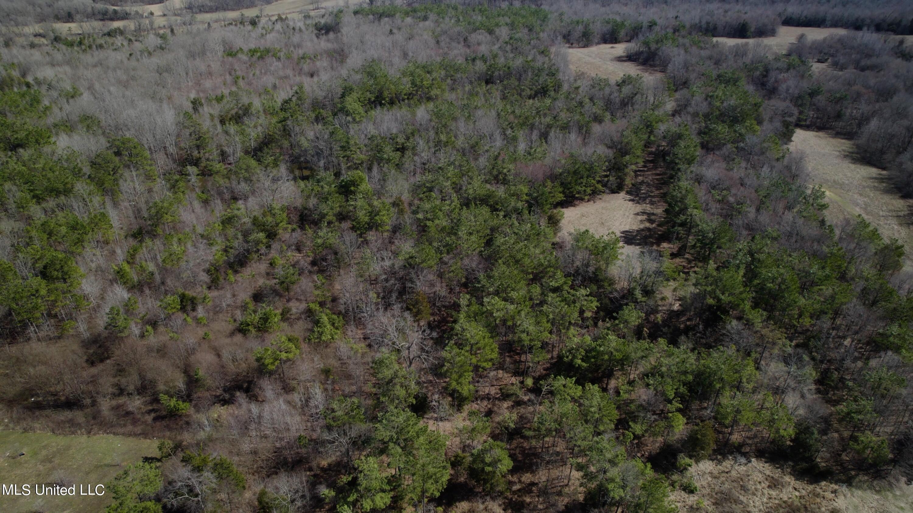1000 Burton Road Senatobia, MS 38668 - Photo 7 of 20 Aerial View IX