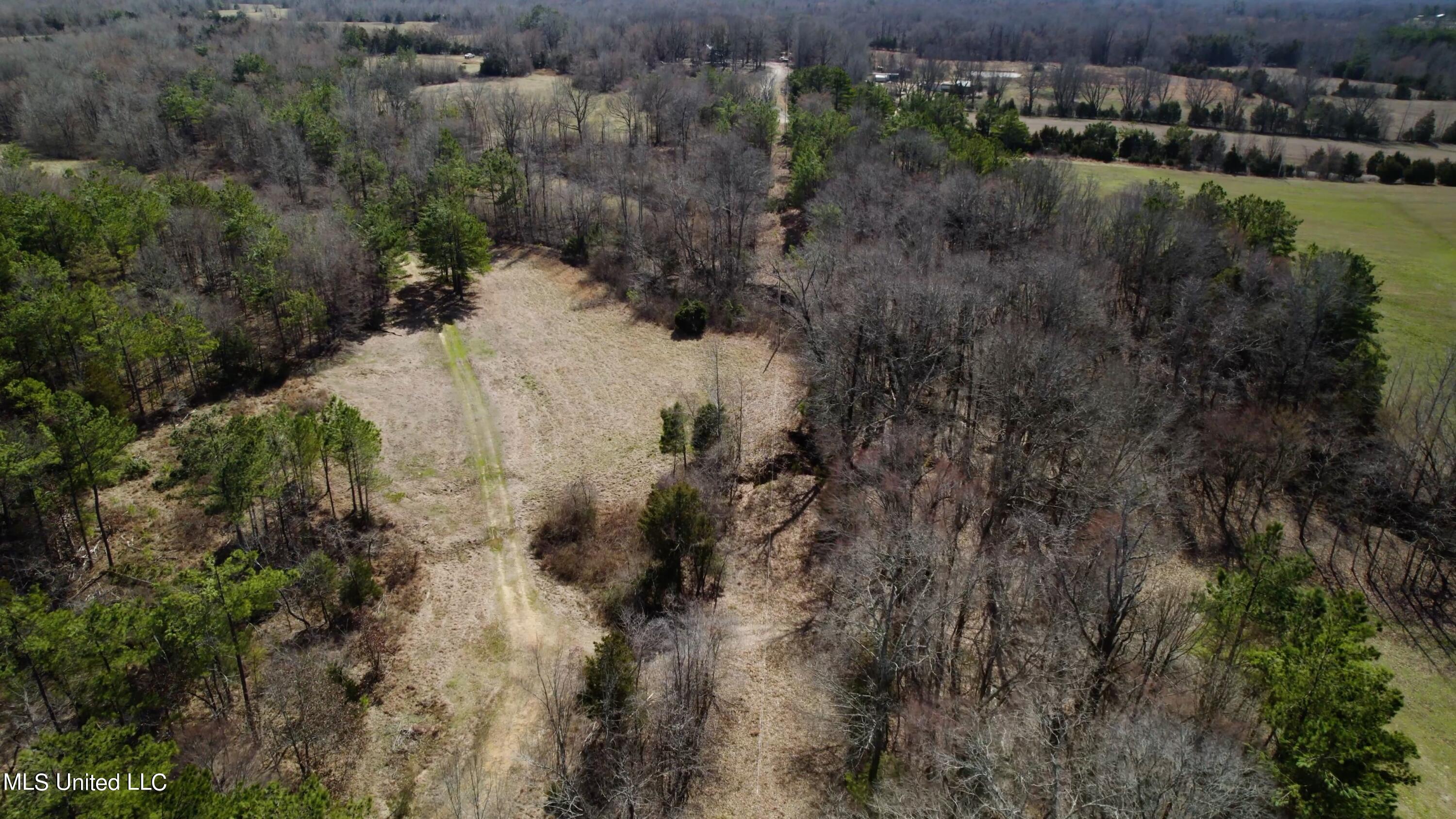 1000 Burton Road Senatobia, MS 38668 - Photo 8 of 20 Aerial View VI