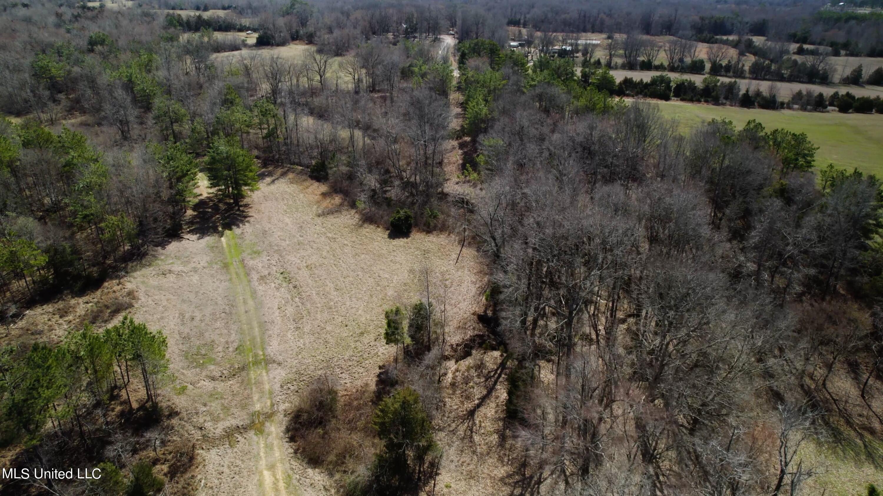 1000 Burton Road Senatobia, MS 38668 - Photo 9 of 20 Aerial View VII