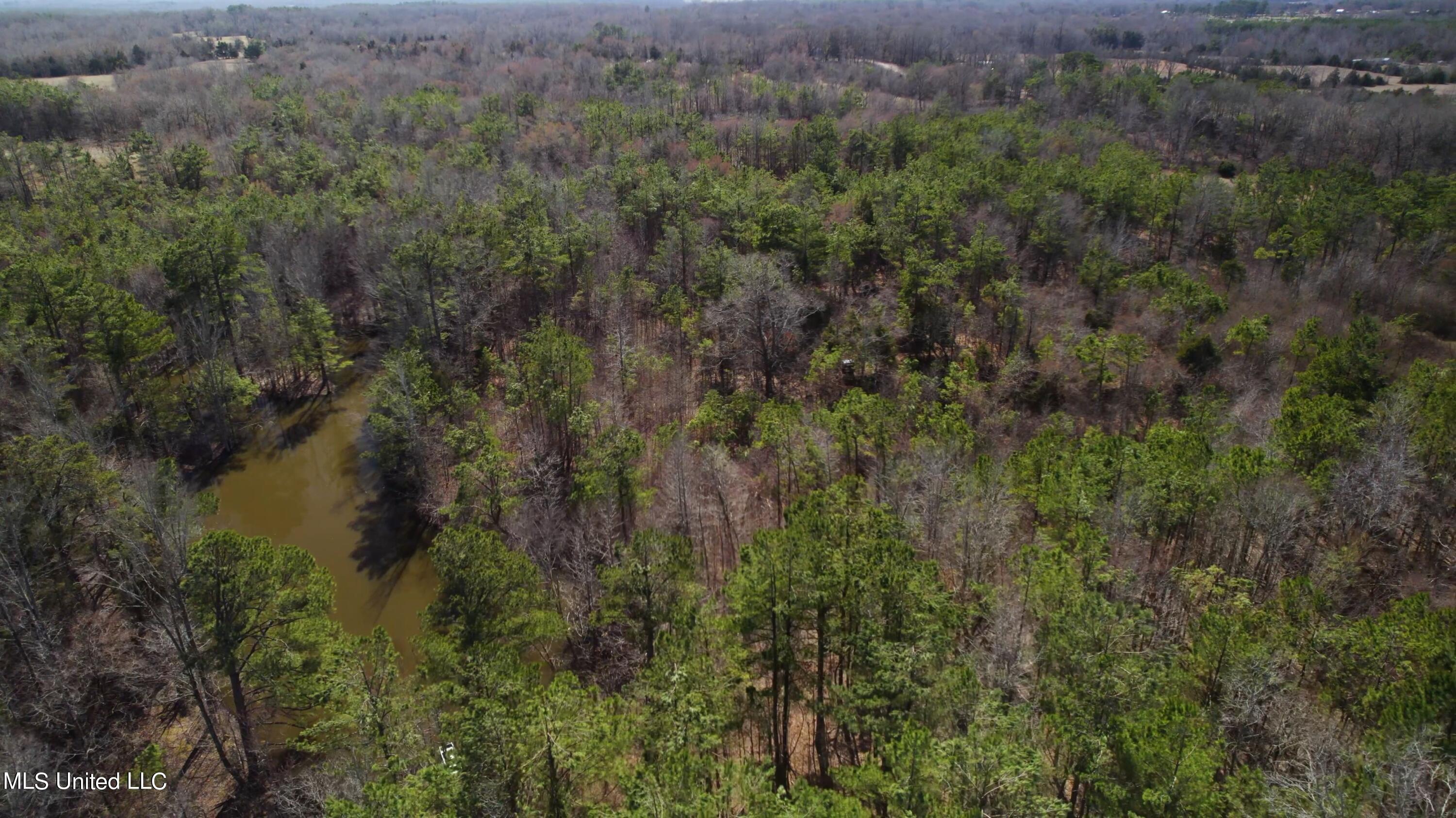 1000 Burton Road Senatobia, MS 38668 - Photo 10 of 20 Aerial View wPond II