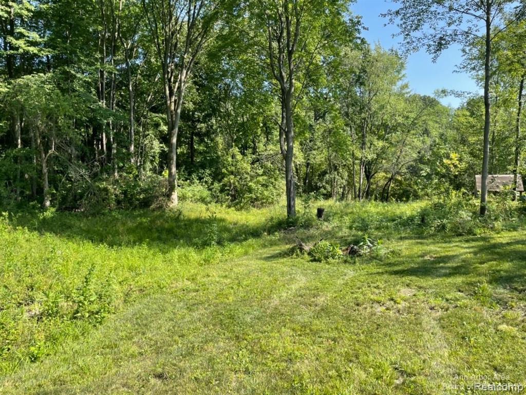 Vl Denton Hills Road Fenton, MI 48430 - Photo 11 of 21