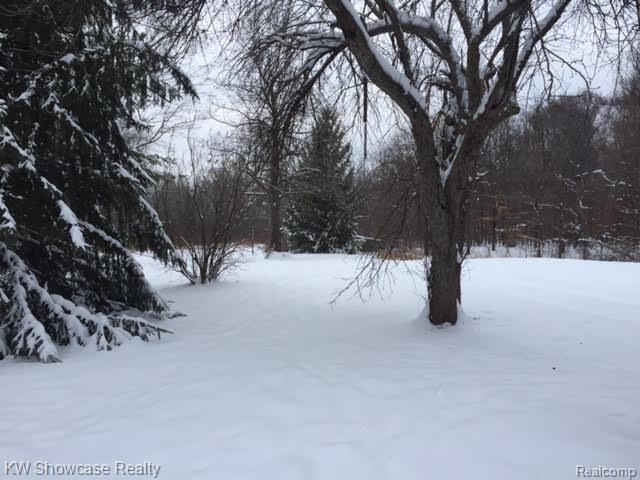 47200 West 11 Mile Road Novi, MI 48374 - Photo 58 of 62 47200 Ext Acreage Yard KS 12 13.jpg