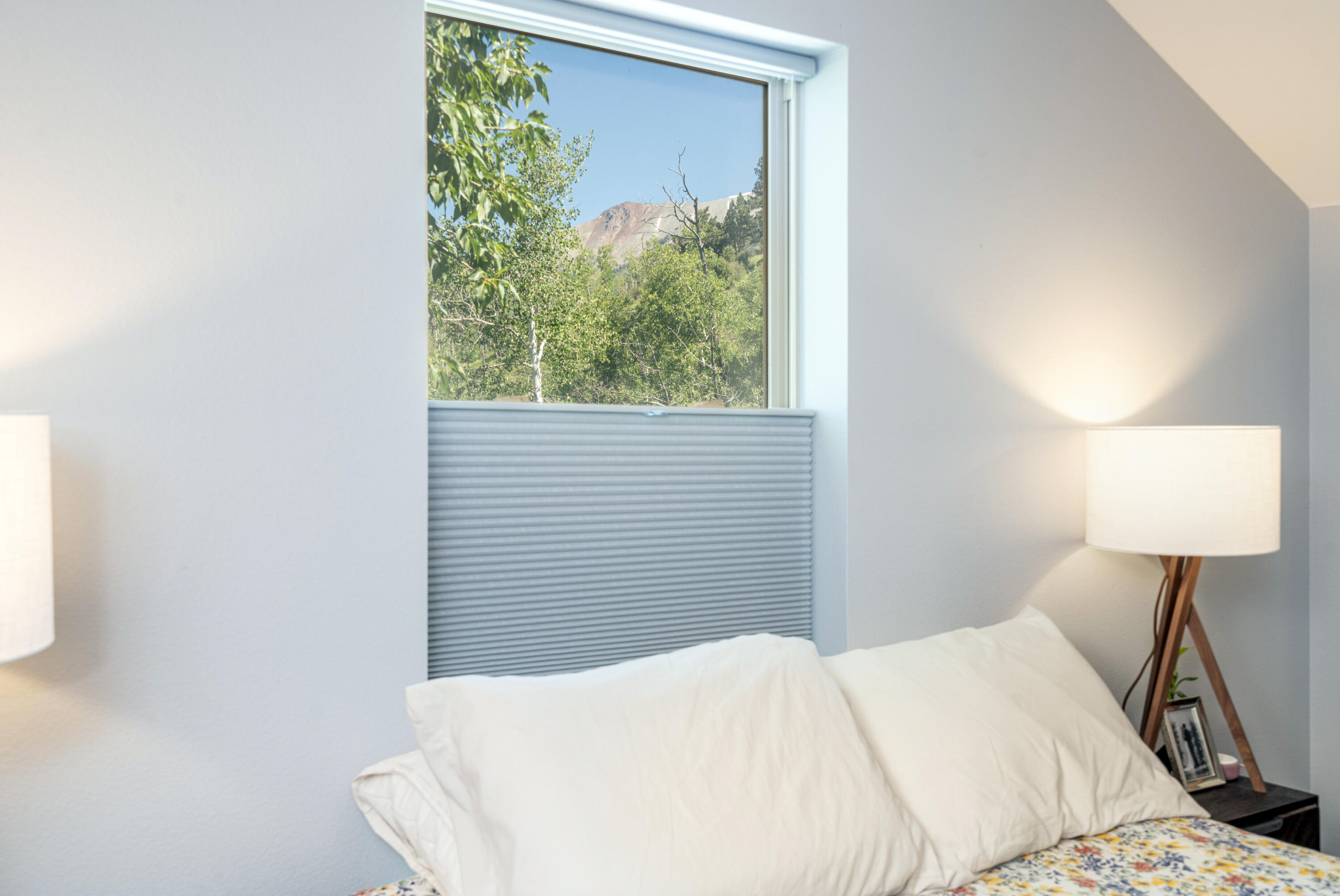 327 Adams Ranch Road, Unit 102 Mountain Village, CO 81435 - Photo 11 of 21 Primary Bedroom View