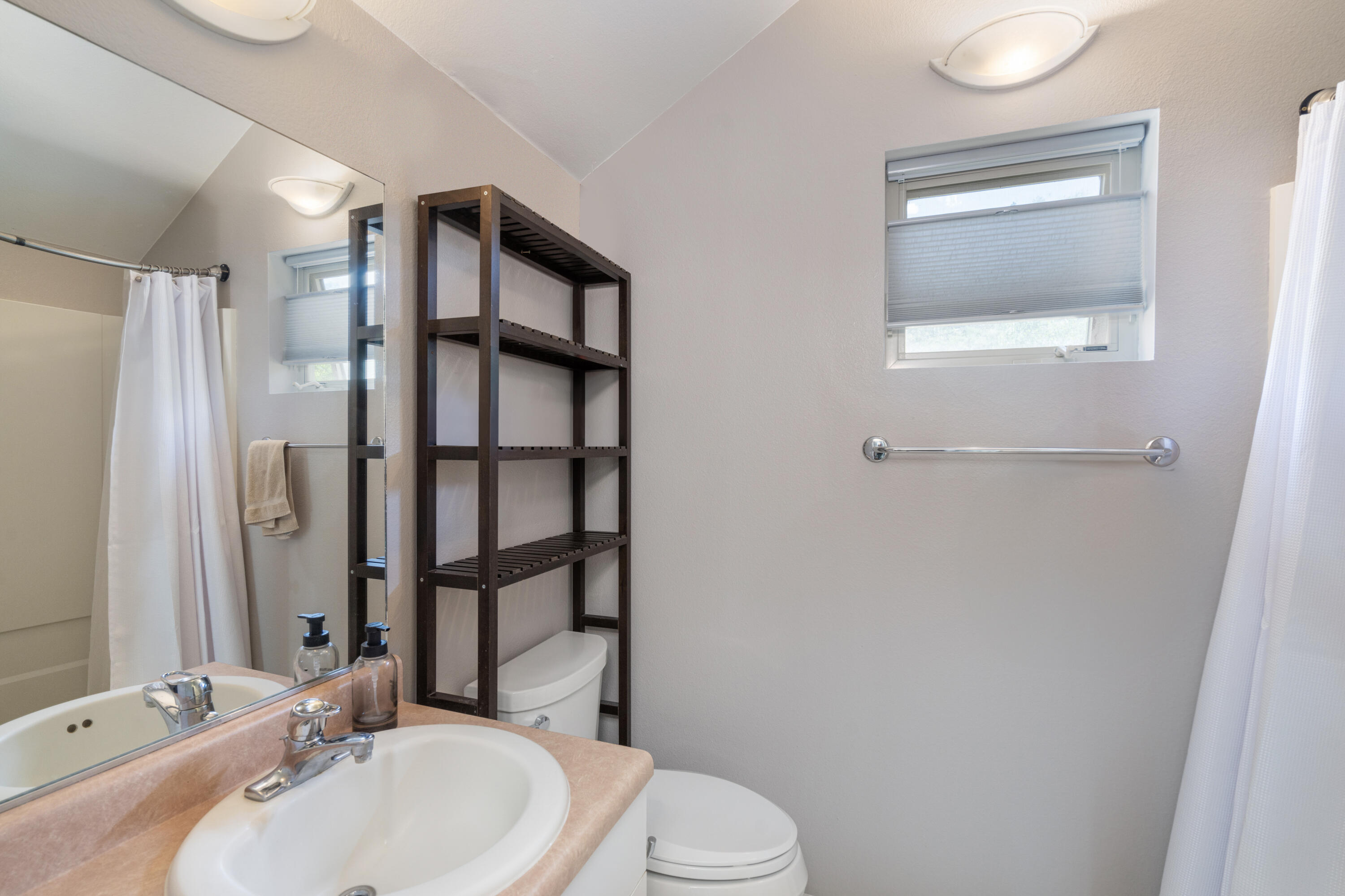 327 Adams Ranch Road, Unit 102 Mountain Village, CO 81435 - Photo 12 of 21 Primary Bathroom