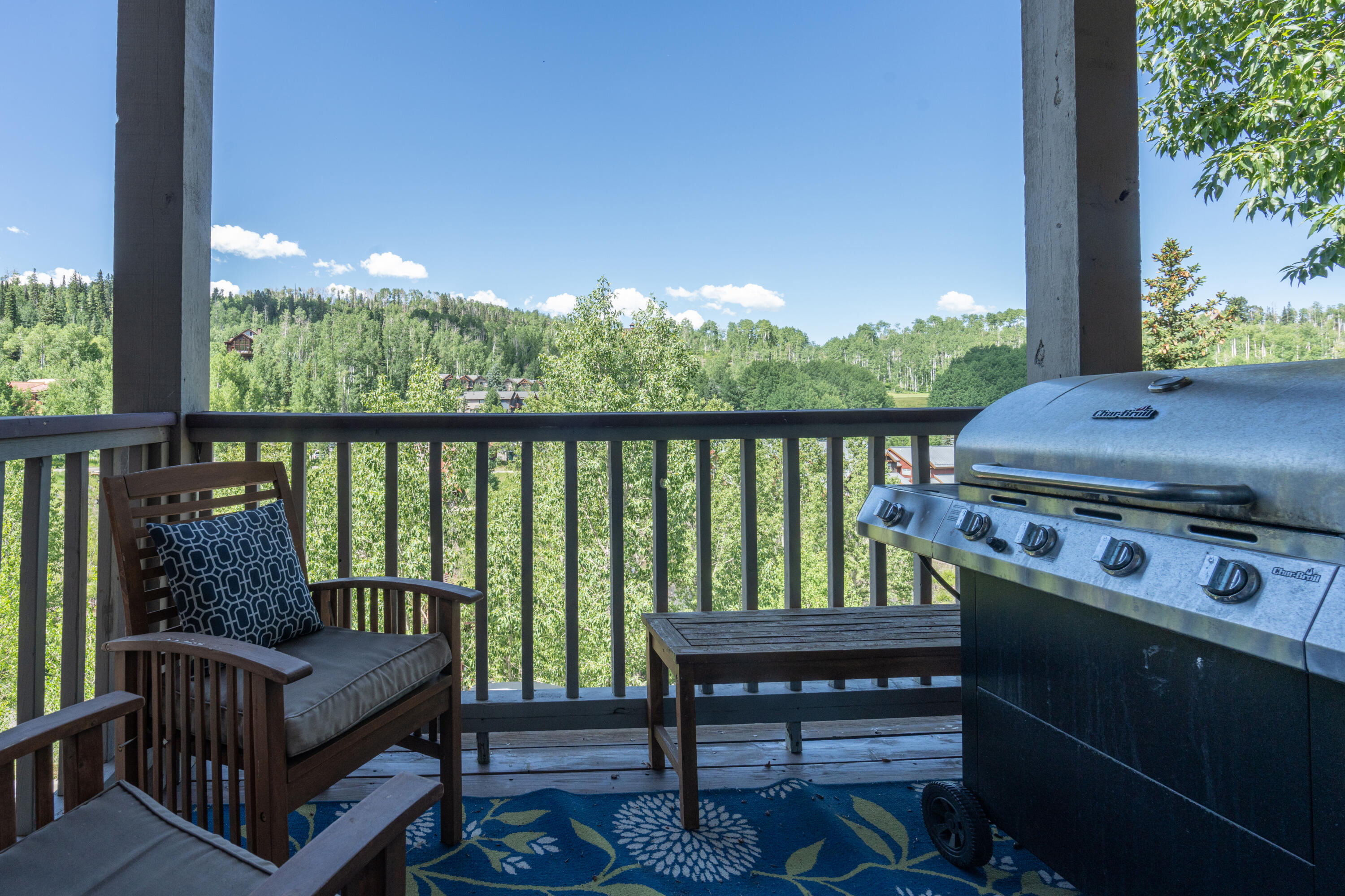 327 Adams Ranch Road, Unit 102 Mountain Village, CO 81435 - Photo 6 of 21 Balcony
