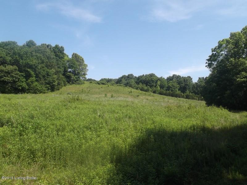 1728 Keltnertown Road Columbia, KY 42728 - Photo 16 of 23 DSCF6226 (Custom)