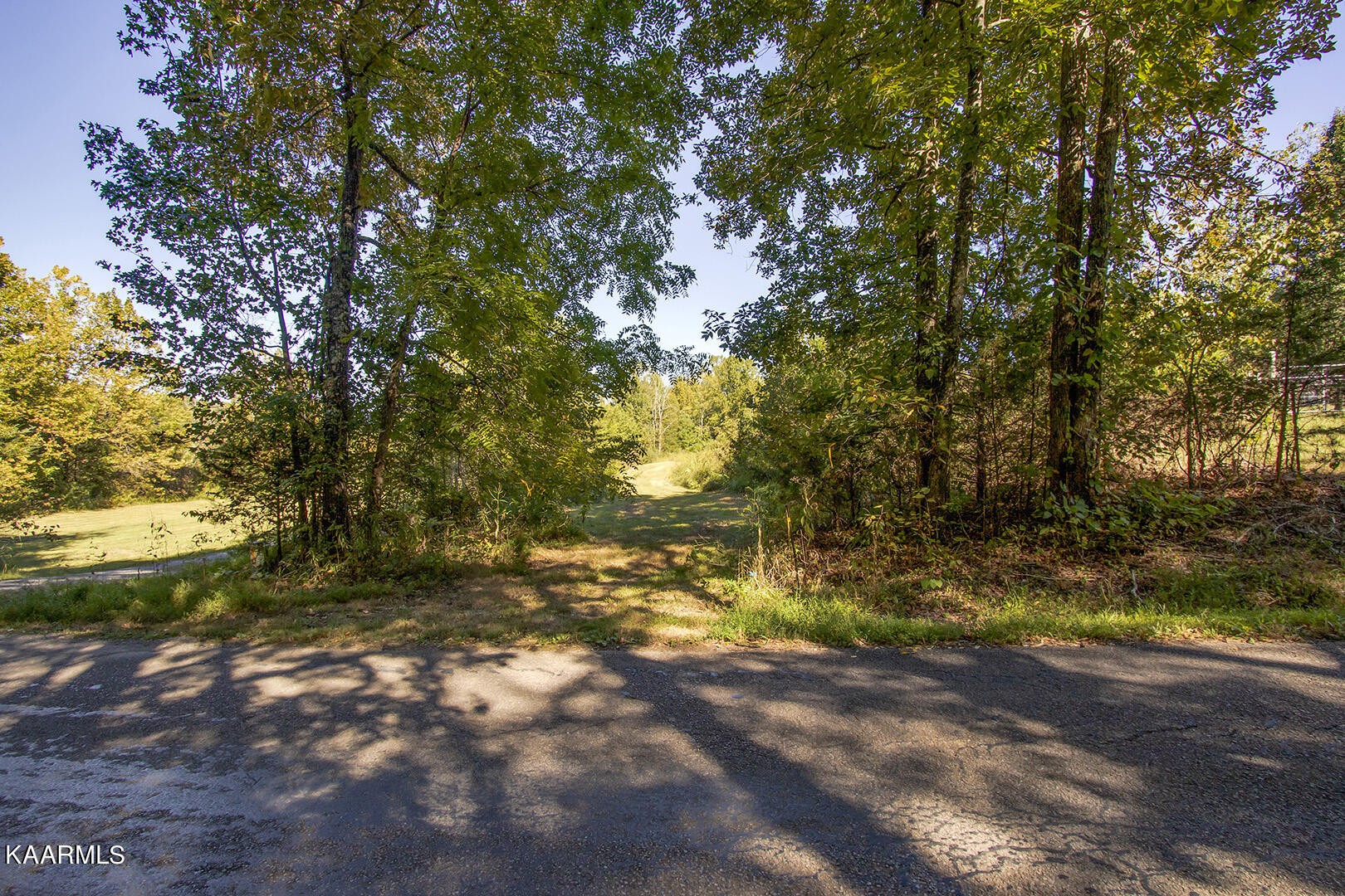 0 Shaddon Road Tellico Plains, TN 37385 - Photo 15 of 17