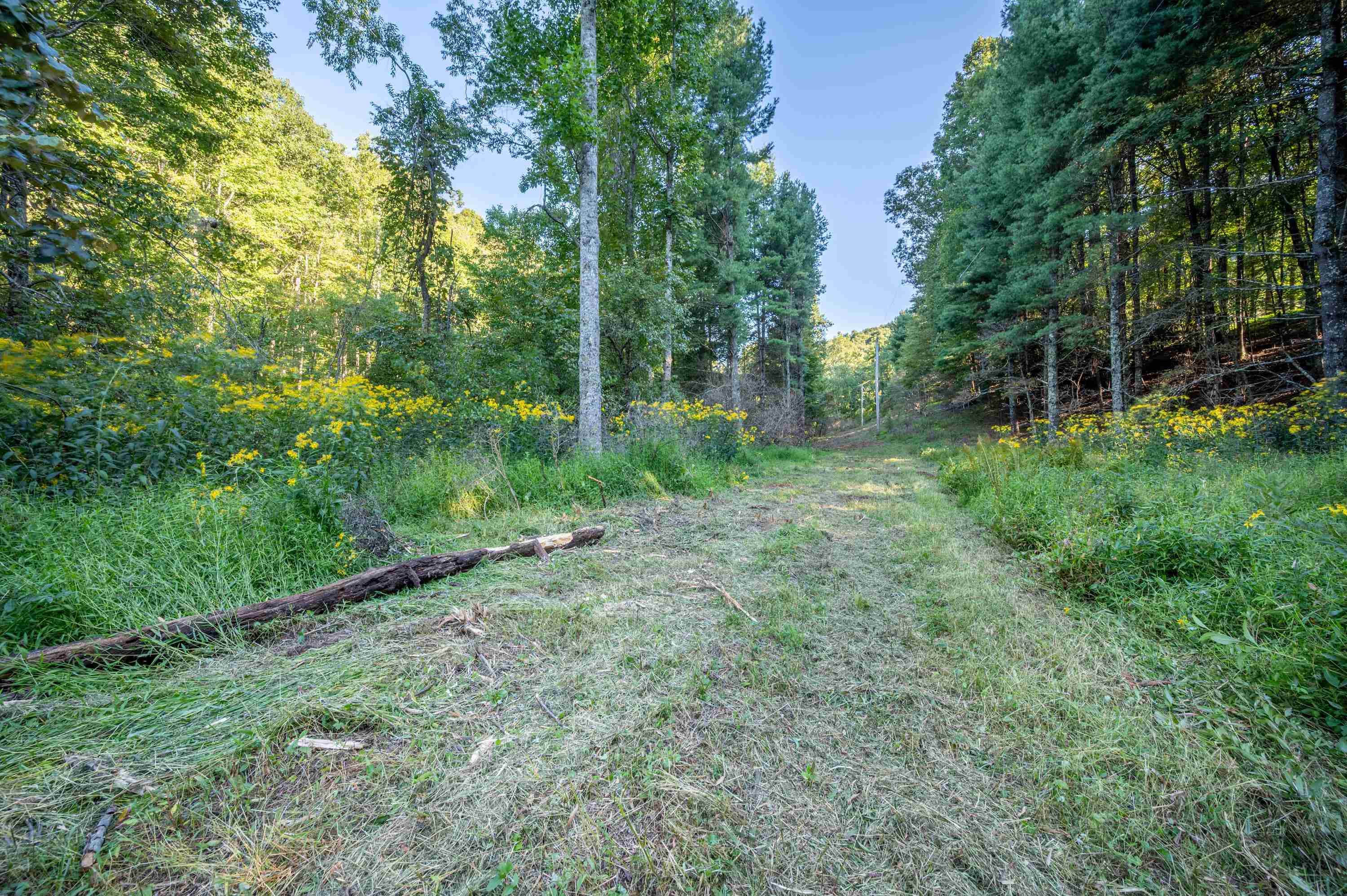 1287 Cox Store Road Southwest Floyd, VA 24091 - Photo 7 of 22 Gallery Image 7