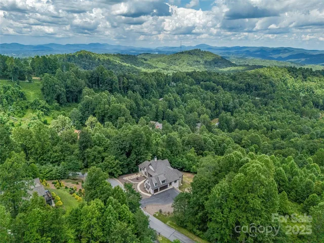 a view of a green yard with large trees