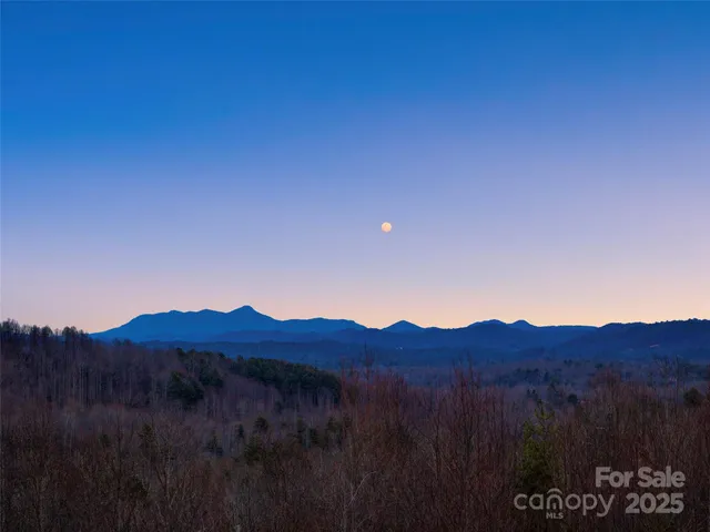 a view of a house with a mountain in the background