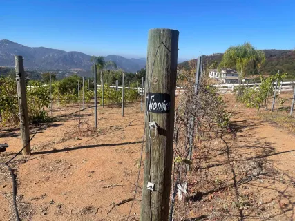 $1,995,000 | 15068 Creek Hills Road, El Cajon, CA 92021