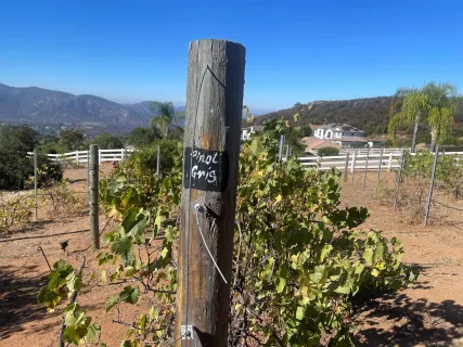 $1,995,000 | 15068 Creek Hills Road, El Cajon, CA 92021