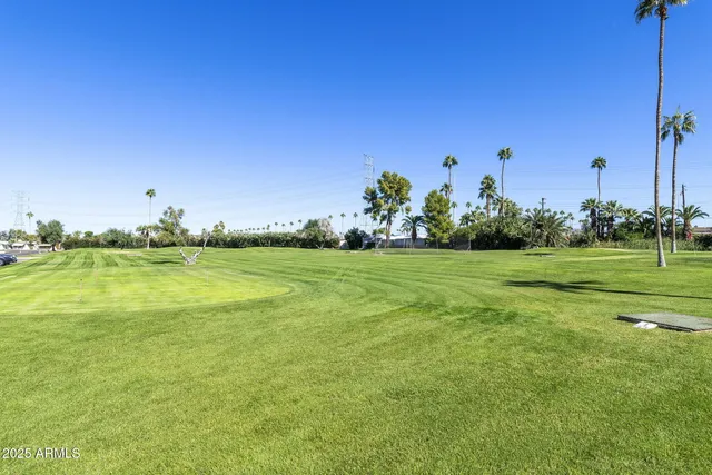 a view of a field with a big yard