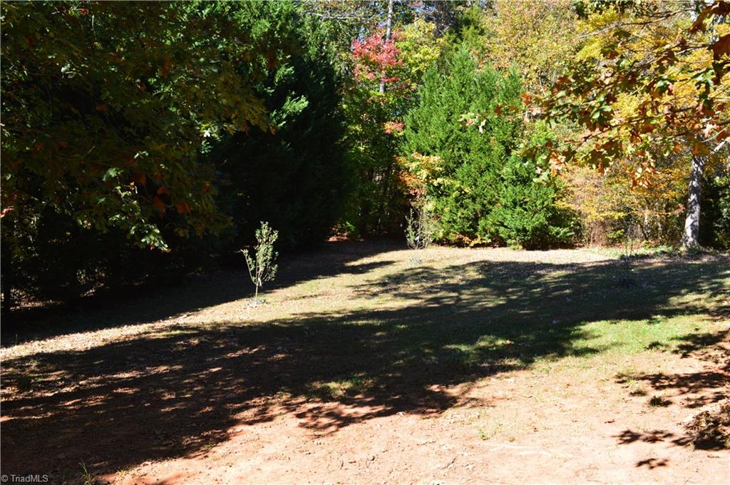 5630 Horseshoe Neck Road Lexington, NC 27295 - Photo 4 of 21 Gallery Image 4