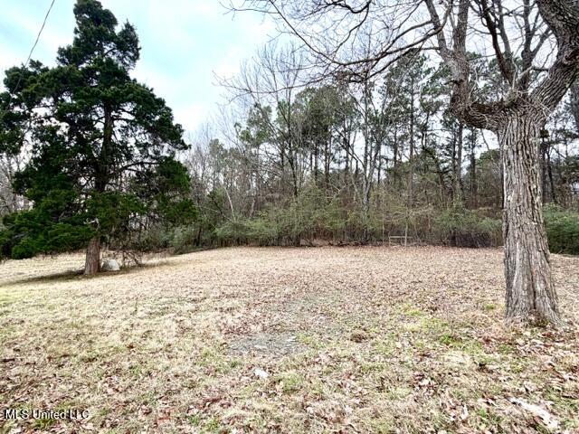 5837 Ross Road South Olive Branch, MS 38654 - Photo 21 of 21 IMG_4271