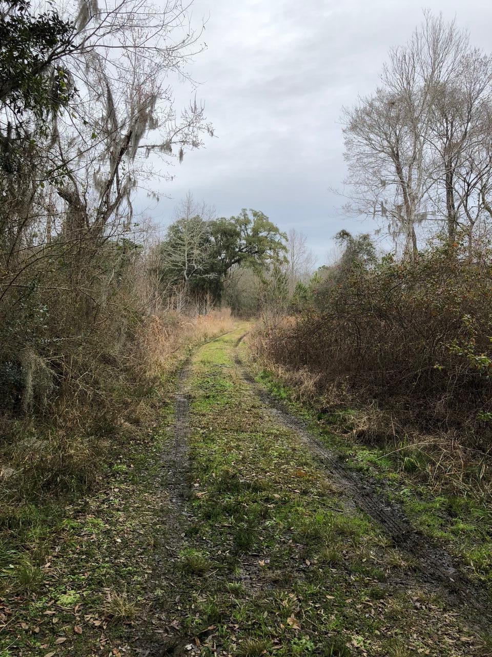 2999 Hut Road Johns Island, SC 29455 - Photo 1 of 12 IMG_1669