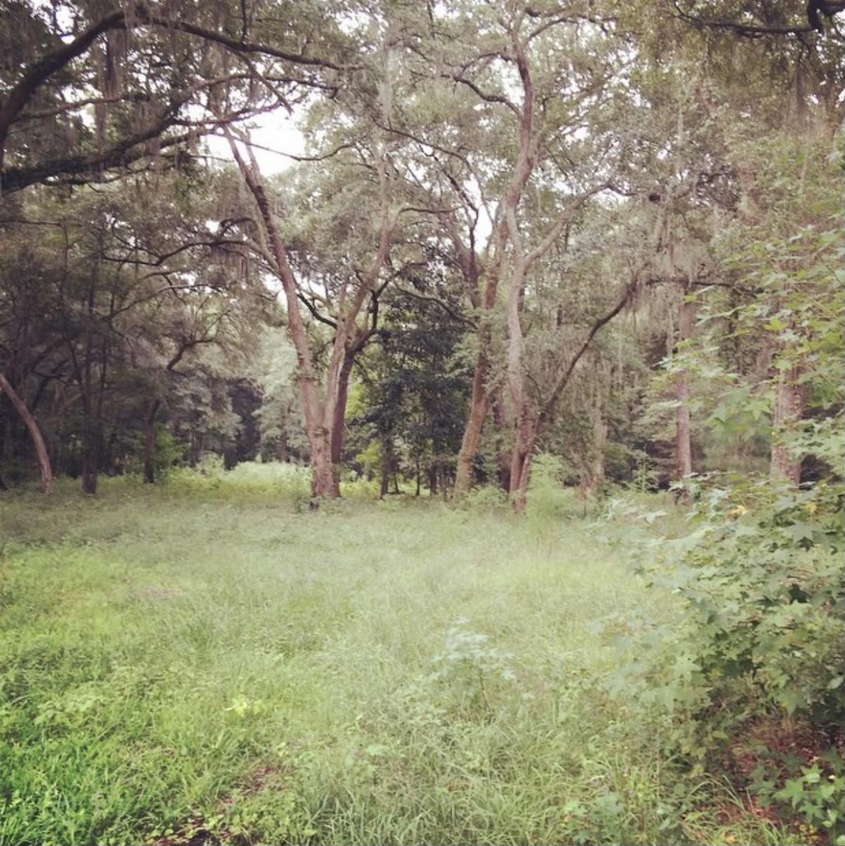 2999 Hut Road Johns Island, SC 29455 - Photo 3 of 12 5246CADC-A72E-4D2C-BEF2-3306B9F81EC7