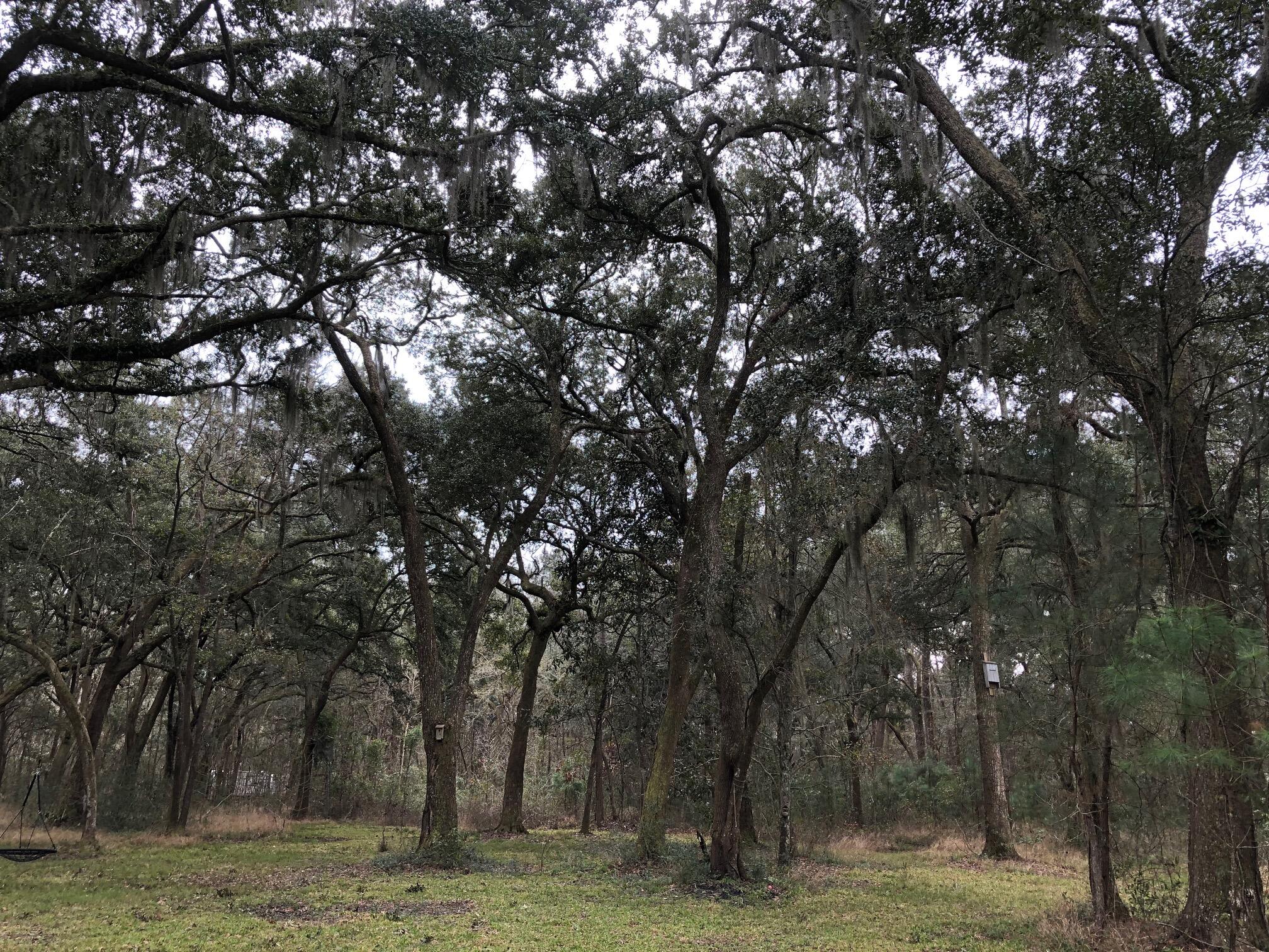 2999 Hut Road Johns Island, SC 29455 - Photo 4 of 12 IMG_1665