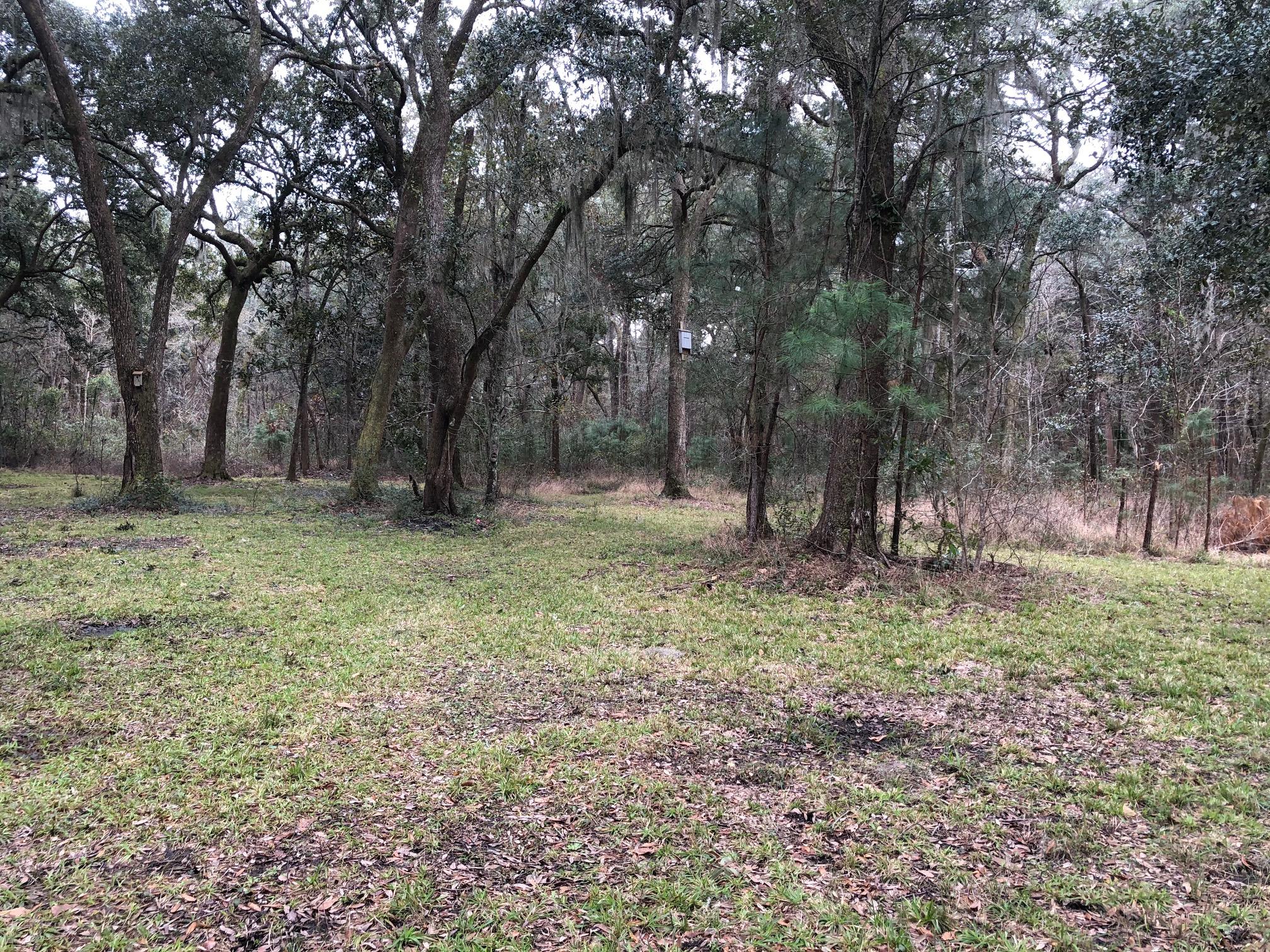 2999 Hut Road Johns Island, SC 29455 - Photo 5 of 12 IMG_1664