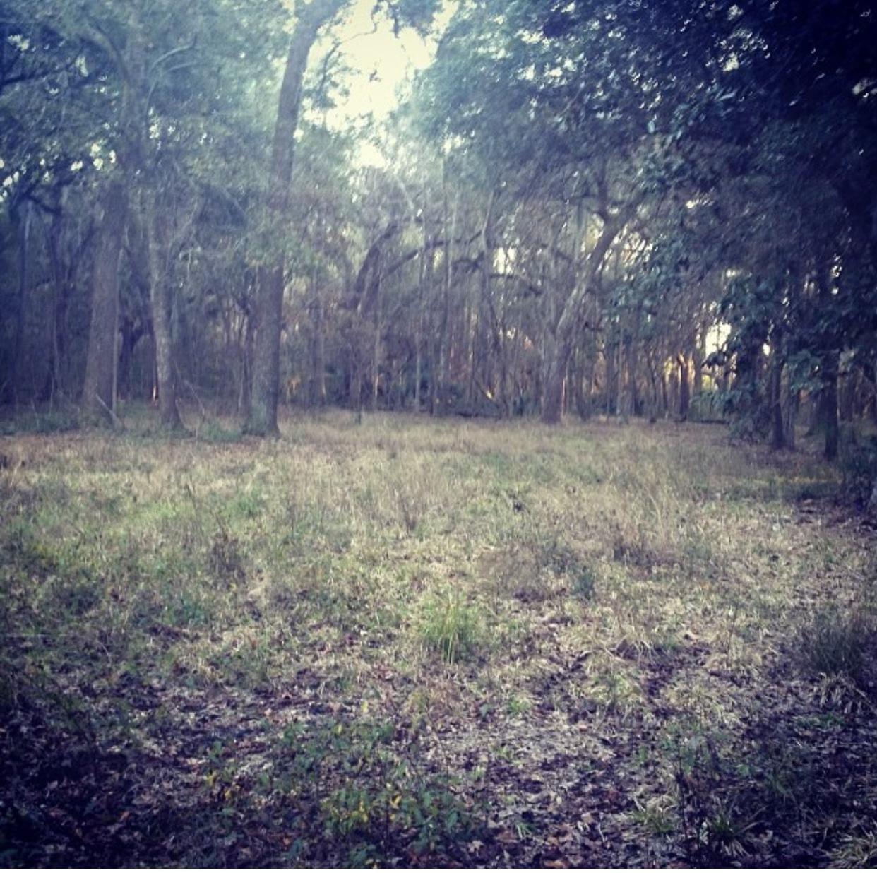 2999 Hut Road Johns Island, SC 29455 - Photo 9 of 12 249E0BA5-D9C7-42D9-AF55-1893A8E50CA8