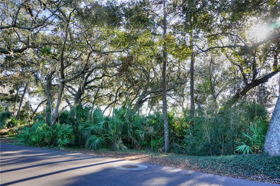 Lot 178 Marsh Hawk Road Amelia Island, FL 32034 - Photo 1 of 9 Gallery Image 1