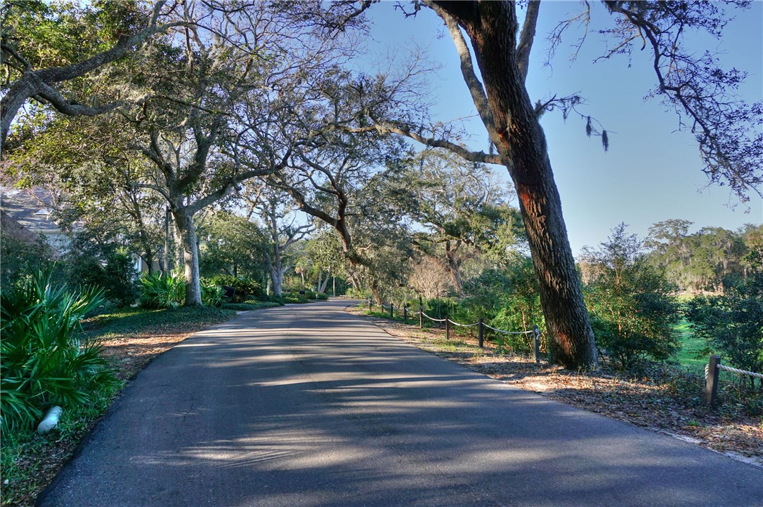 Lot 178 Marsh Hawk Road Amelia Island, FL 32034 - Photo 2 of 9 Gallery Image 2