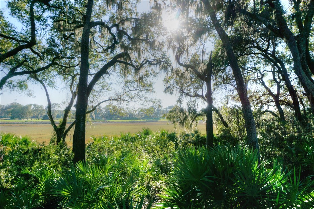 Lot 178 Marsh Hawk Road Amelia Island, FL 32034 - Photo 5 of 9 Gallery Image 5