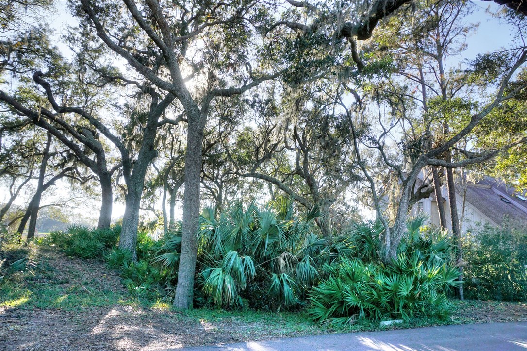 Lot 178 Marsh Hawk Road Amelia Island, FL 32034 - Photo 8 of 9 Gallery Image 8
