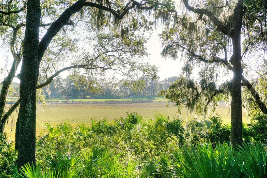 Lot 178 Marsh Hawk Road Amelia Island, FL 32034 - Photo 9 of 9 Gallery Image 9