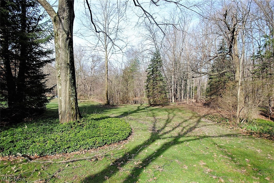 2864 Lander Road Cleveland, OH 44124 - Photo 18 of 19 Wooded lot views to west