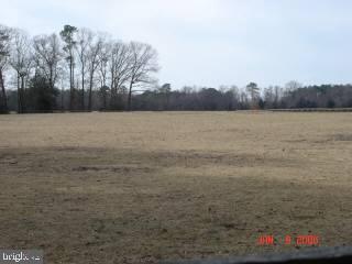 5112 Sharps Point Road Fruitland, MD 21826 - Photo 5 of 5 Gallery Image 5