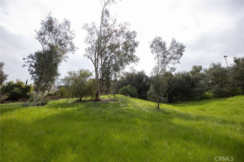 1702 Dwight Street Redlands, CA 92373 - Photo 4 of 15